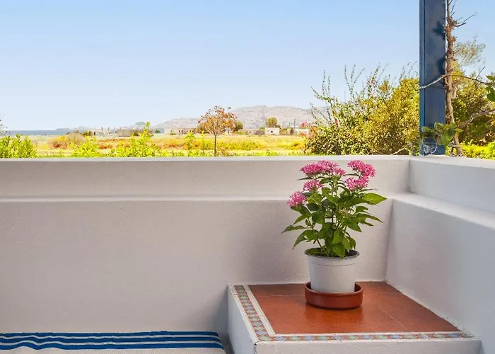 Costa فيلة شاراكي